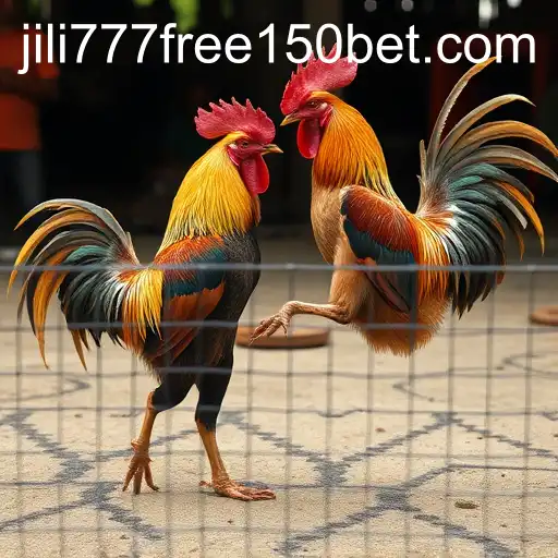 The Tradition and Controversy of Cockfighting